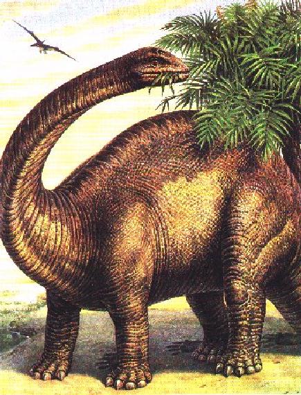 Brontosaurus