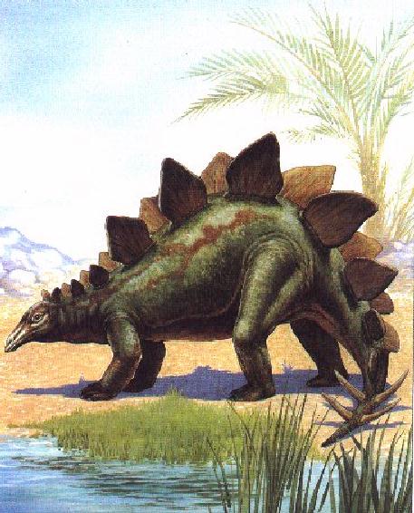 Stegosaurus