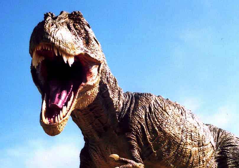 tyrannosaurus