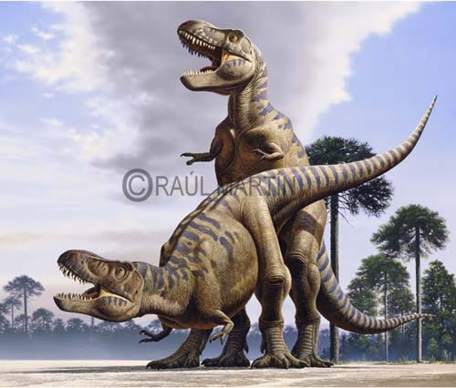 Tyrannosaurus2
