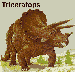 triceratops.gif